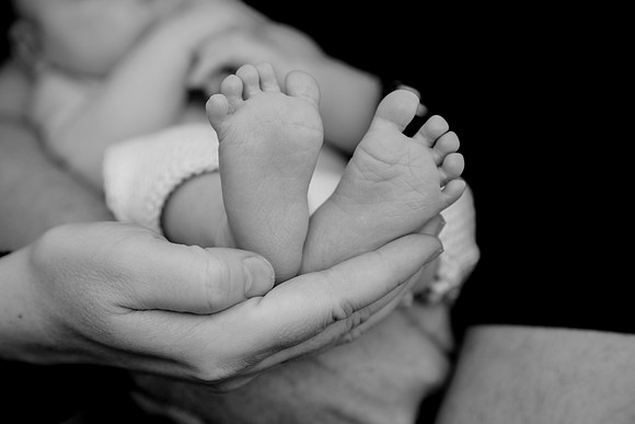 Image by Linda Wild, RG Wild Photography