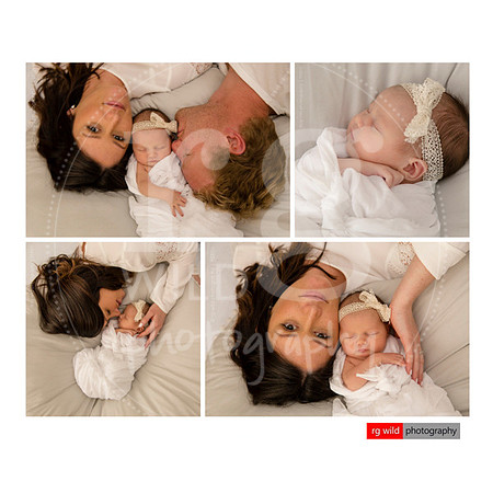 Newborn + Family Porraits